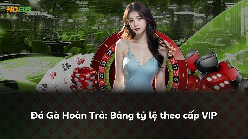 Đá Gà Hoàn Trả: Bảng tỷ lệ theo cấp VIP